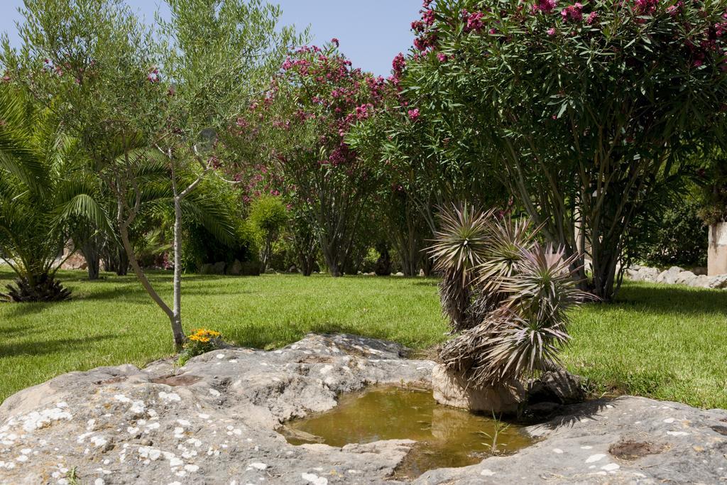 Country house Agroturismo Can Patro *