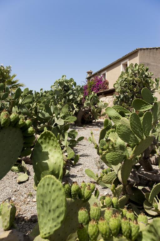 Country house Agroturismo Can Patro