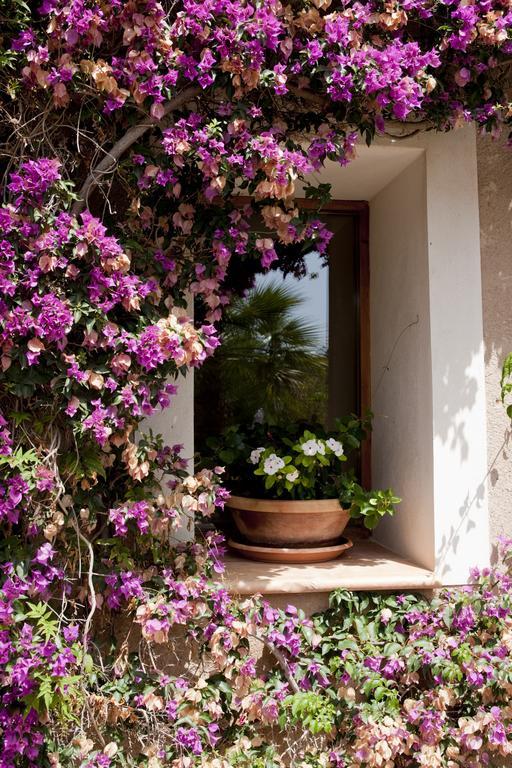 Country house Agroturismo Can Patro *