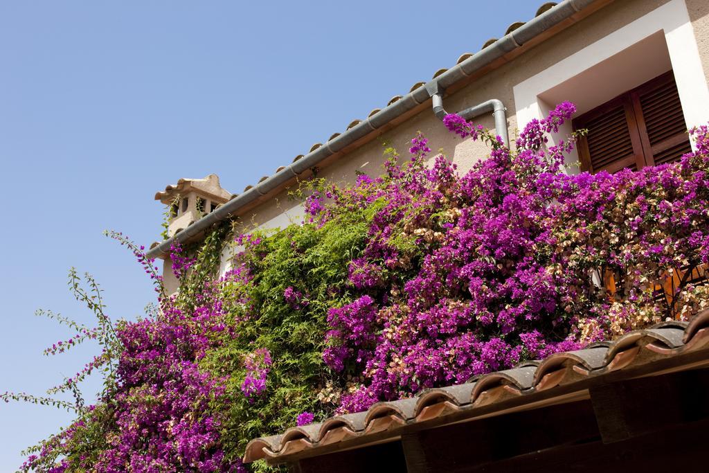 Country house Agroturismo Can Patro Manacor (Mallorca)